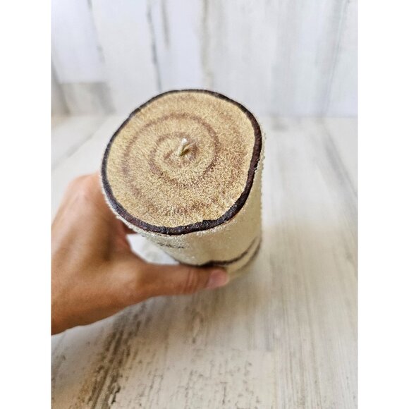 Pottery Barn candle birch glass sugared tree decor - Picture 4 of 8